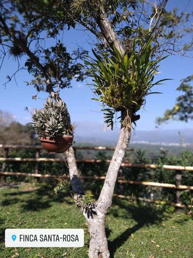Finca Santa Rosa Teocelo Bagian luar foto