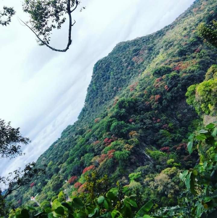 Finca Santa Rosa Teocelo Bagian luar foto